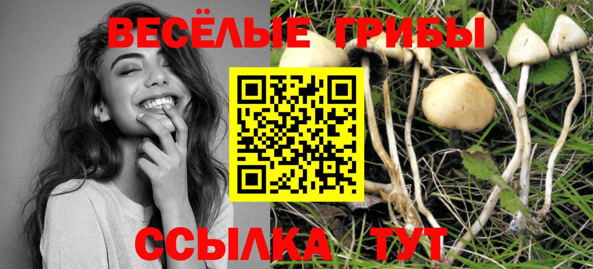 Галлюциногенные грибы MAGIC MUSHROOMS  Вход с VPN  Менделеевск 